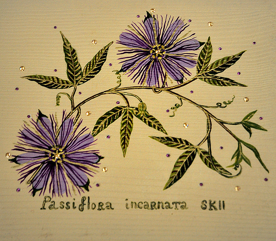 Silvia Karamfilova Art "Passiflora"